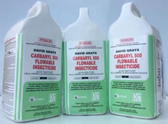 Structural Treatment- Absorbacide (diatomaceous earth)
